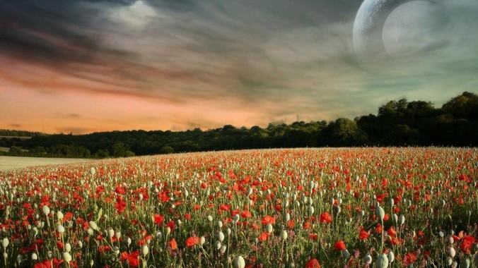 为什么越来越多的 SSD 不带片外缓存了？